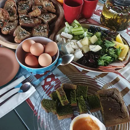 Bilkarskata Kashta * Gorsko Slivovo