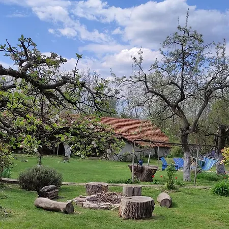 Bilkarskata Kashta *