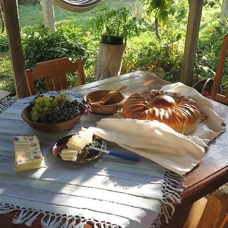 Bilkarskata Kashta Gorsko Slivovo