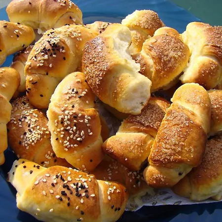 Konukevi Bilkarskata Kashta